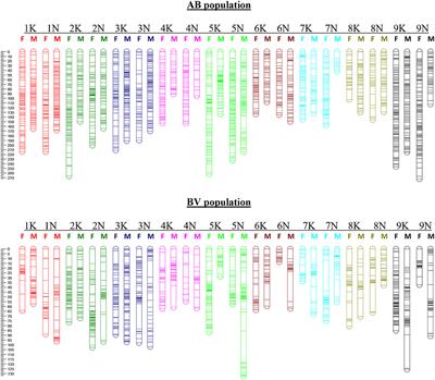 Genotyping-by-Sequencing and QTL Mapping of Biomass Yield in Two Switchgrass F1 Populations (Lowland x Coastal and Coastal x Upland)